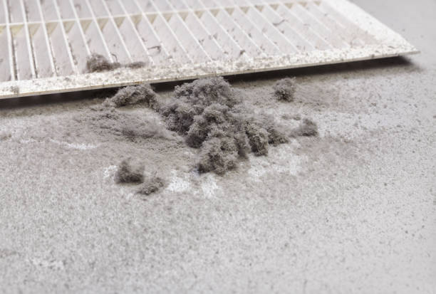 Best Affordable Air Duct Cleaning  in Orange City, FL