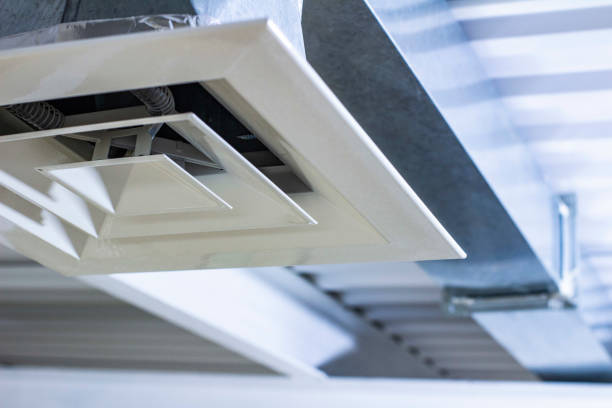 Best Air Duct Mold Removal  in Orange City, FL