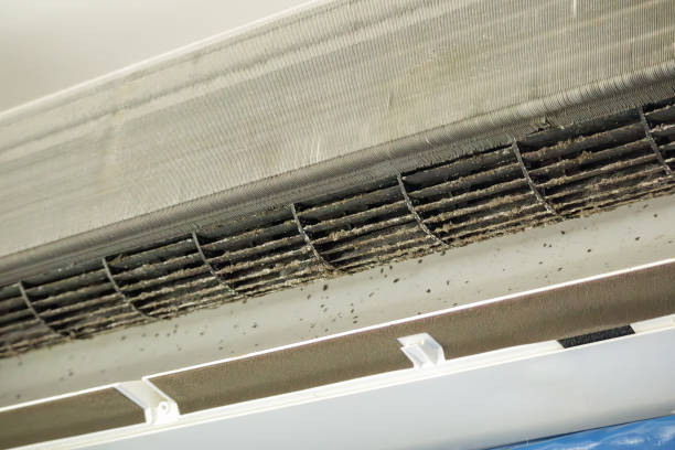 Best HVAC Duct Inspection Services  in Orange City, FL